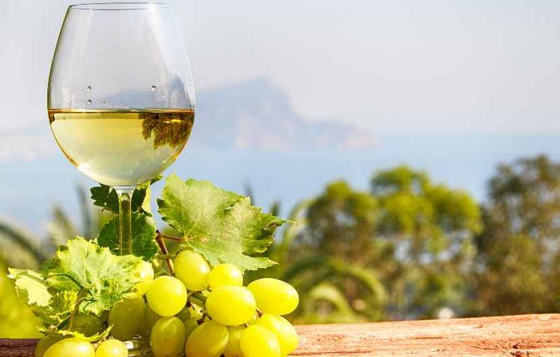 La App Spin Winera: Recensione e Consigli per i Giocatori Italiani